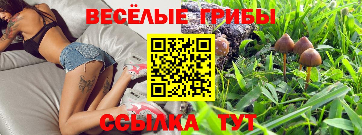 Семилуки  Псилоцибиновые грибы мицелий  Вход с VPN 